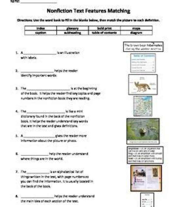 Non-Fiction Text Features Worksheet PDF – Free Teaching Resource