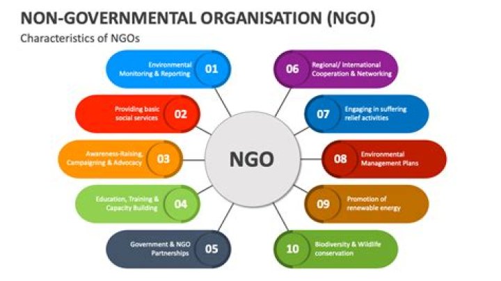 Effective Management and Development Strategies for NGOs: A Comprehensive PDF Guide