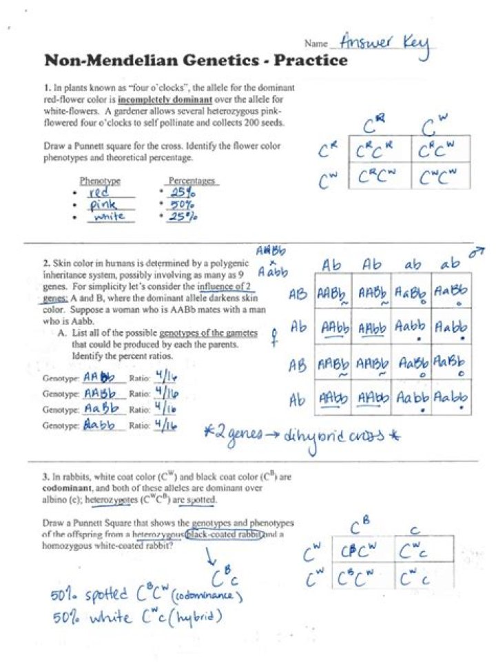Non Mendelian Genetics Problems with Answers PDF – Step-by-Step Guide