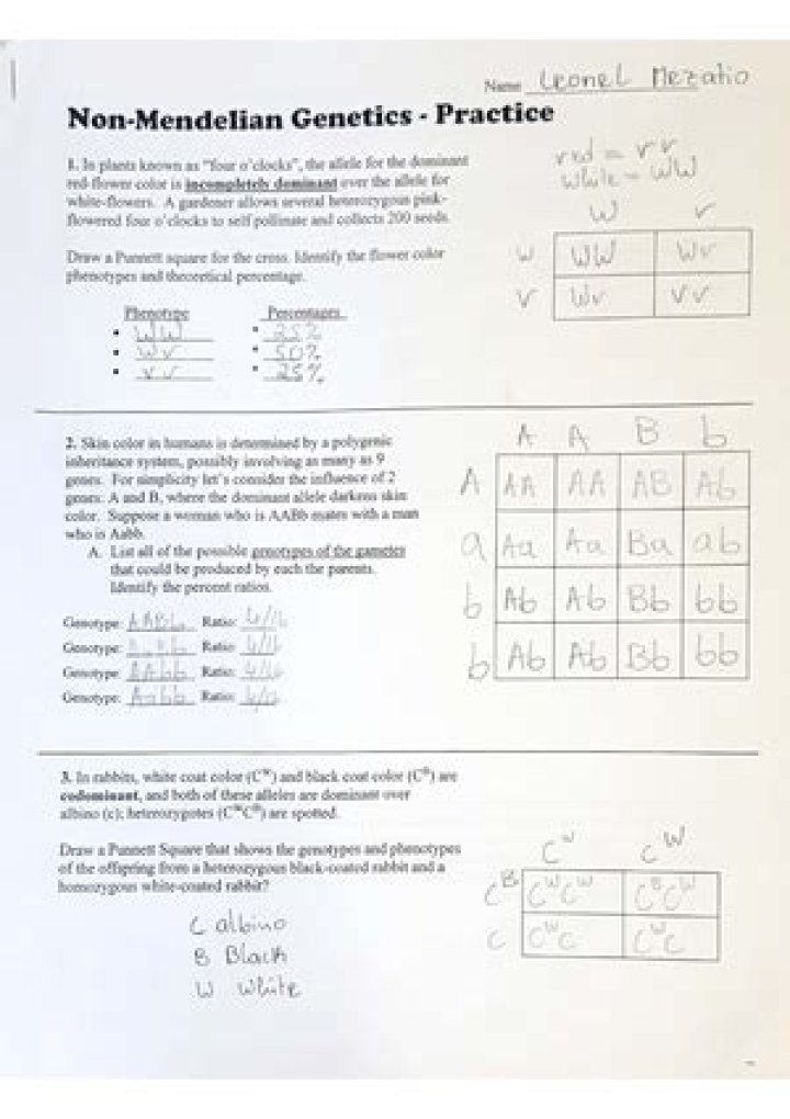 Non-Mendelian Genetics Questions and Answers PDF: Expert Guide