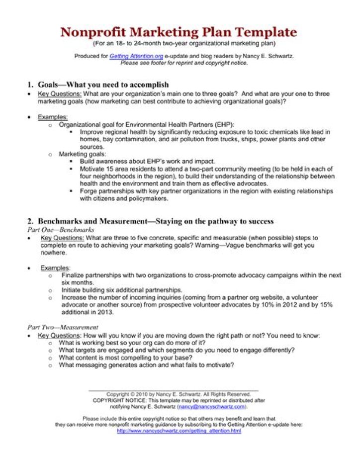 Nonprofit Marketing Plan Template PDF for Successful Fundraising