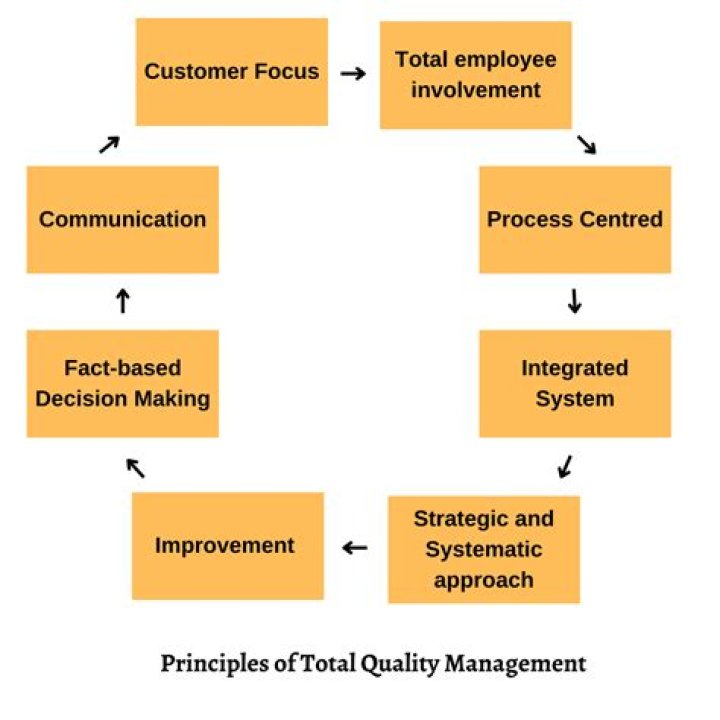 Essential Notes on Total Quality Management: Comprehensive PDF Guide