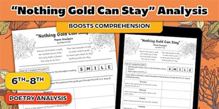 Nothing Gold Can Stay: Deep Reflections in PDF Questions