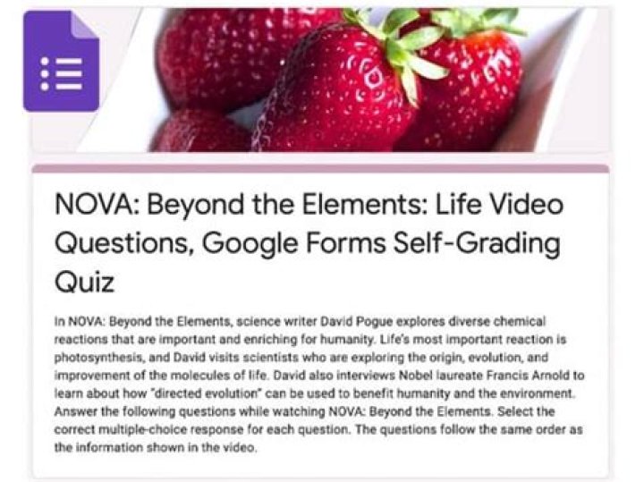 Nova Beyond the Elements Life Video Questions Answer Key PDF: Full Study Guide