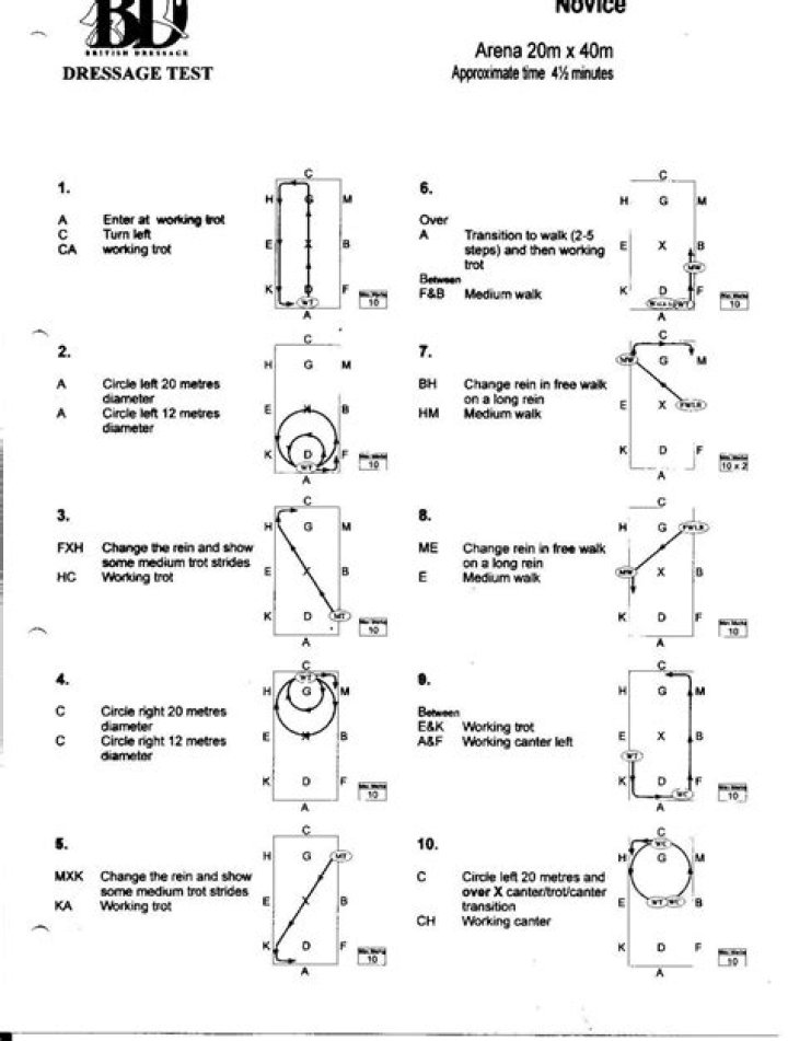 Novice 37A Dressage Test PDF: Free Practice & Scoring Guide
