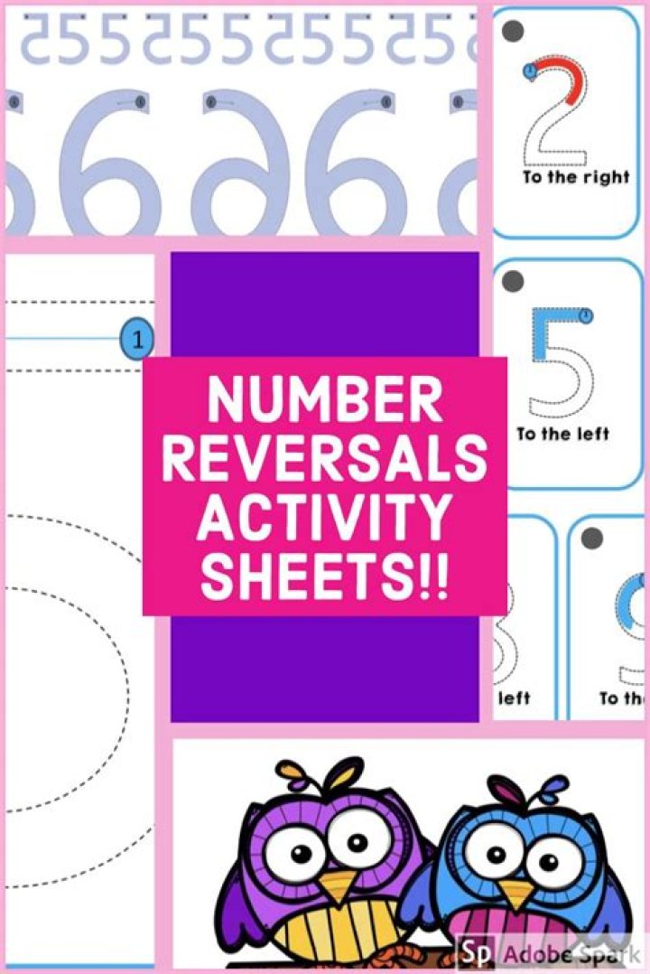 Free Number Reversal Worksheets PDF – Instant Download