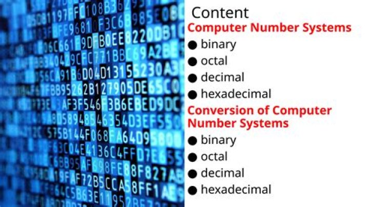 Understanding Number Systems in Computers: Expert Q&A PDF Guide