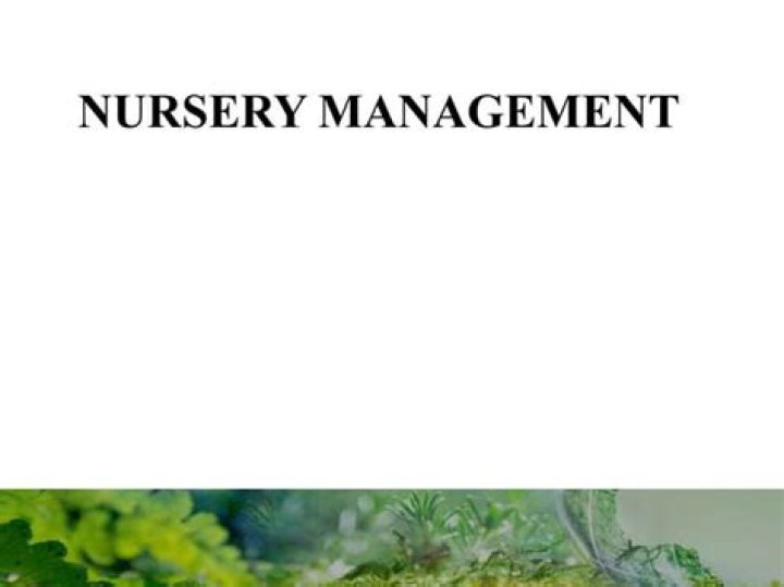 Essential Guide: Nursery Establishment and Management PDF