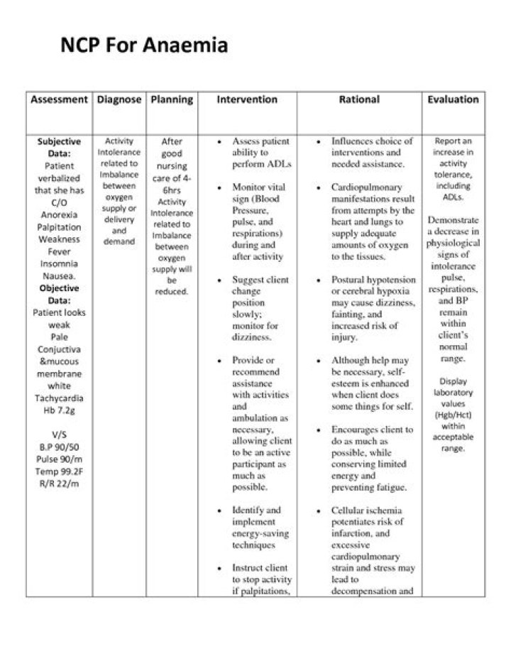 Nursing Care Plan for Anemia in Pregnancy PDF Guide