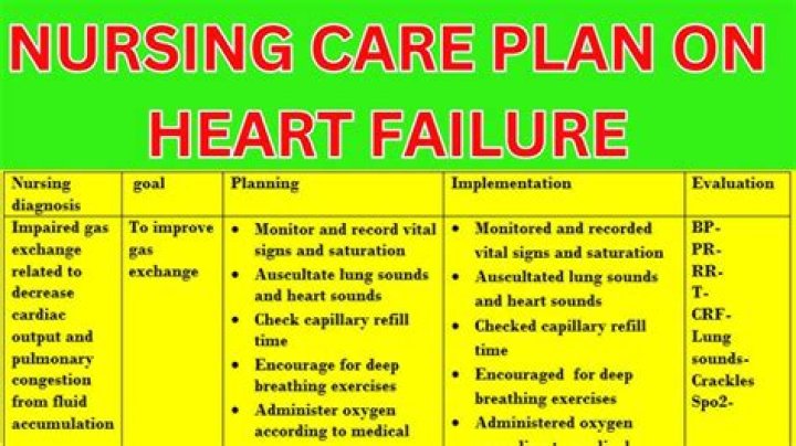 Nursing Care Plan for CHF PDF – Essential Guide & Downloadable Template