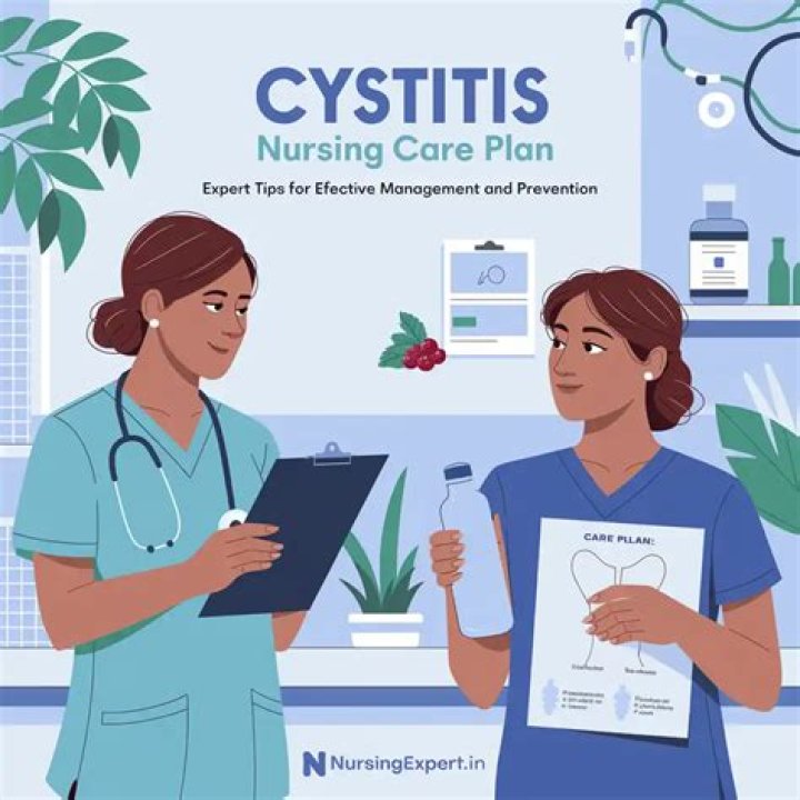 Nursing Care Plan for Cystitis PDF: Step-by-Step Guide