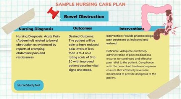 Nursing Care Plan for Intestinal Obstruction: Essential PDF Guide