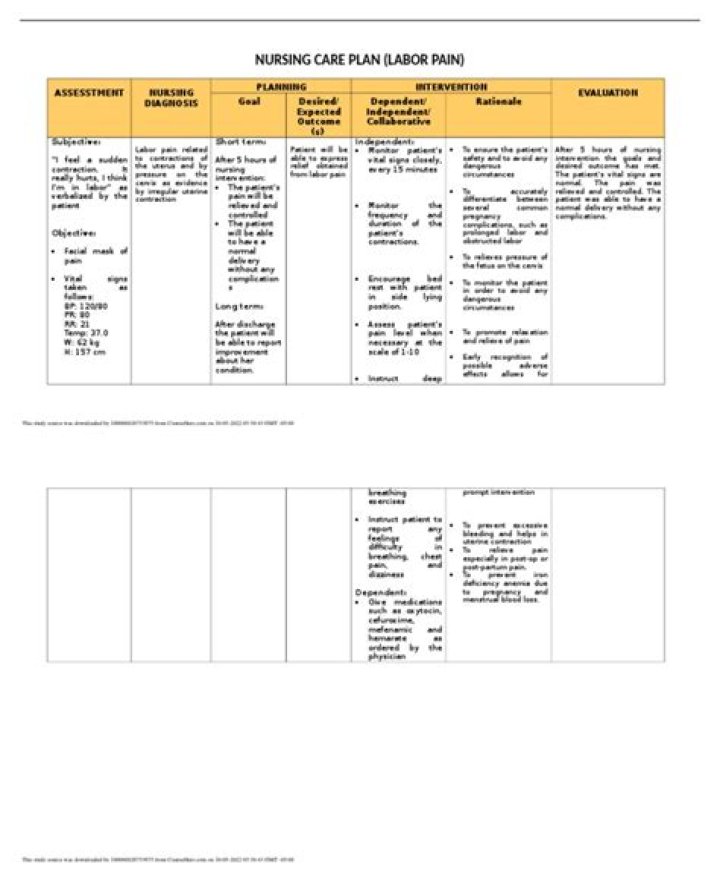 Nursing Care Plan for Labor Pain: Complete PDF Guide