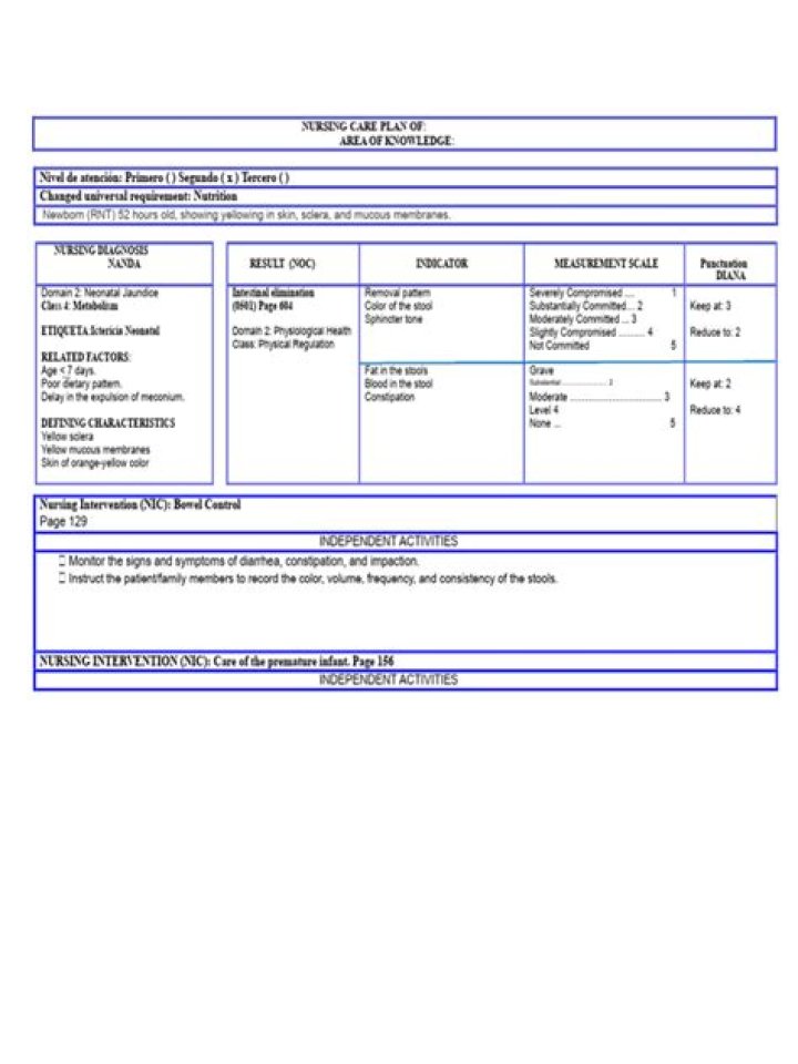 Nursing Care Plan for Neonatal Jaundice PDF – Essential Guidelines