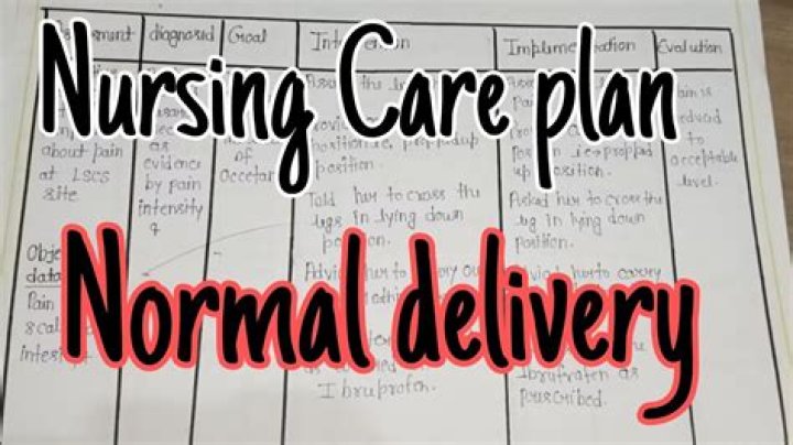 Nursing Care Plan for Normal Delivery PDF – Essential Guide