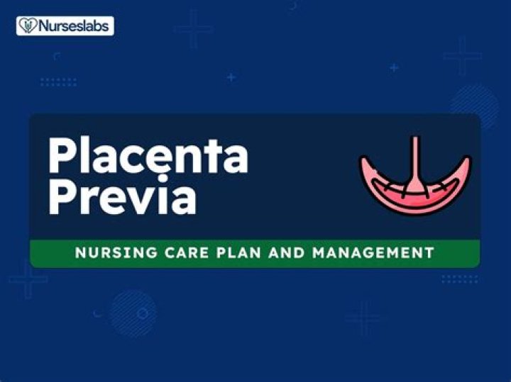 Comprehensive Nursing Care Plan for Placenta Previa PDF Guide
