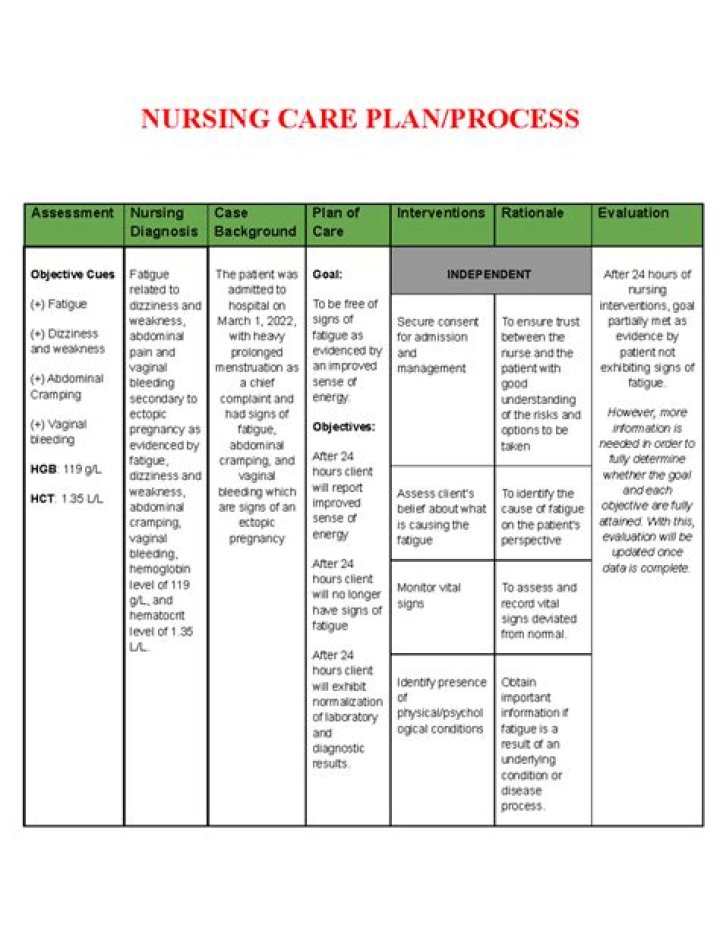Nursing Care Plan for Pregnant Woman – Free PDF Guide