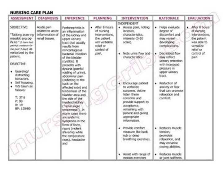 Nursing Care Plan for Pyelonephritis: Essential PDF Guide