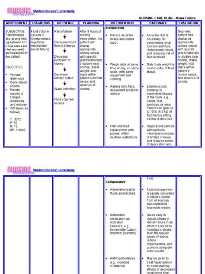 Nursing Care Plan for Renal Failure PDF – Essential Guide & Templates