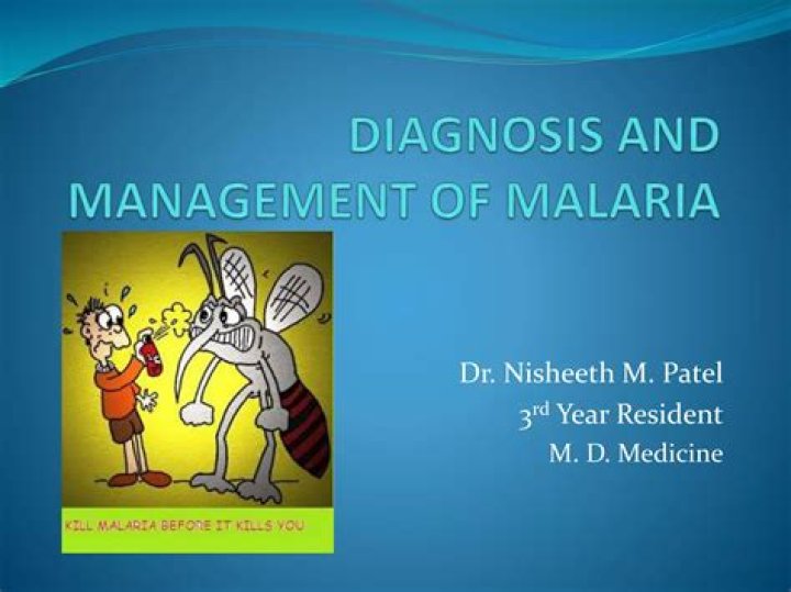 Essential Nursing Management of Malaria: Key Strategies & Protocols PDF
