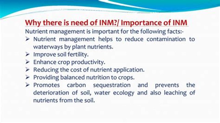 Nutrient Management in Tomato PDF: Boost Yield & Health