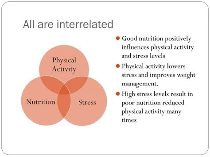 Nutrition and Stress Management PDF: Reduce Stress Through Smart Eating