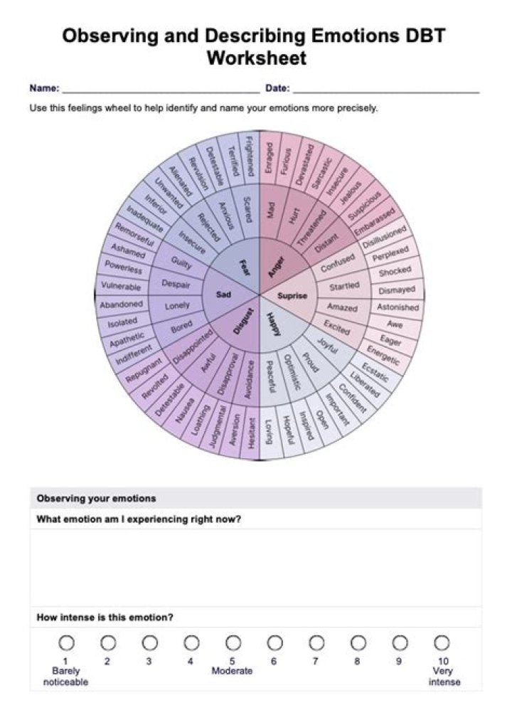Observing and Describing Domain 7 Emotions Worksheet PDF for Emotional Awareness
