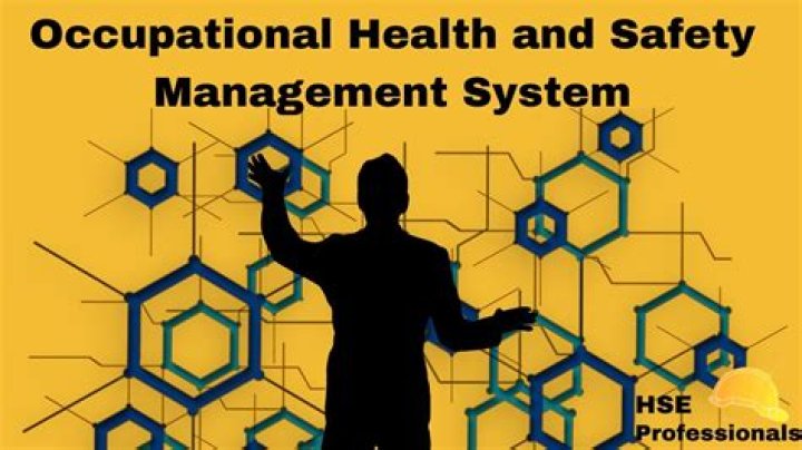 Occupational Health and Safety Management Systems PDF Guide