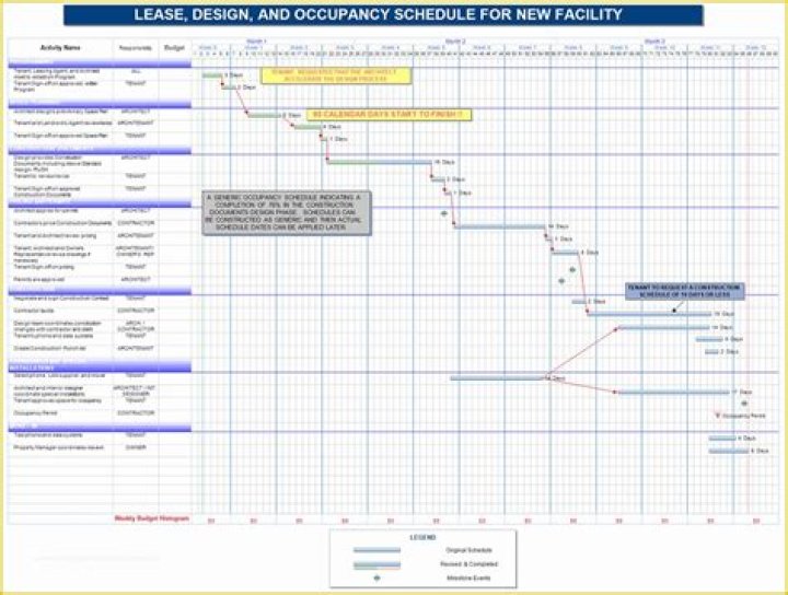 Complete Office Renovation Project Plan PDF for Smooth Renovations