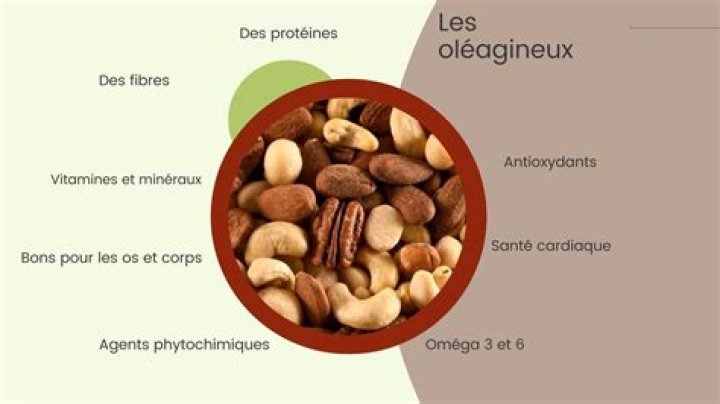 Liste complète des olÉagineux en PDF téléchargeable