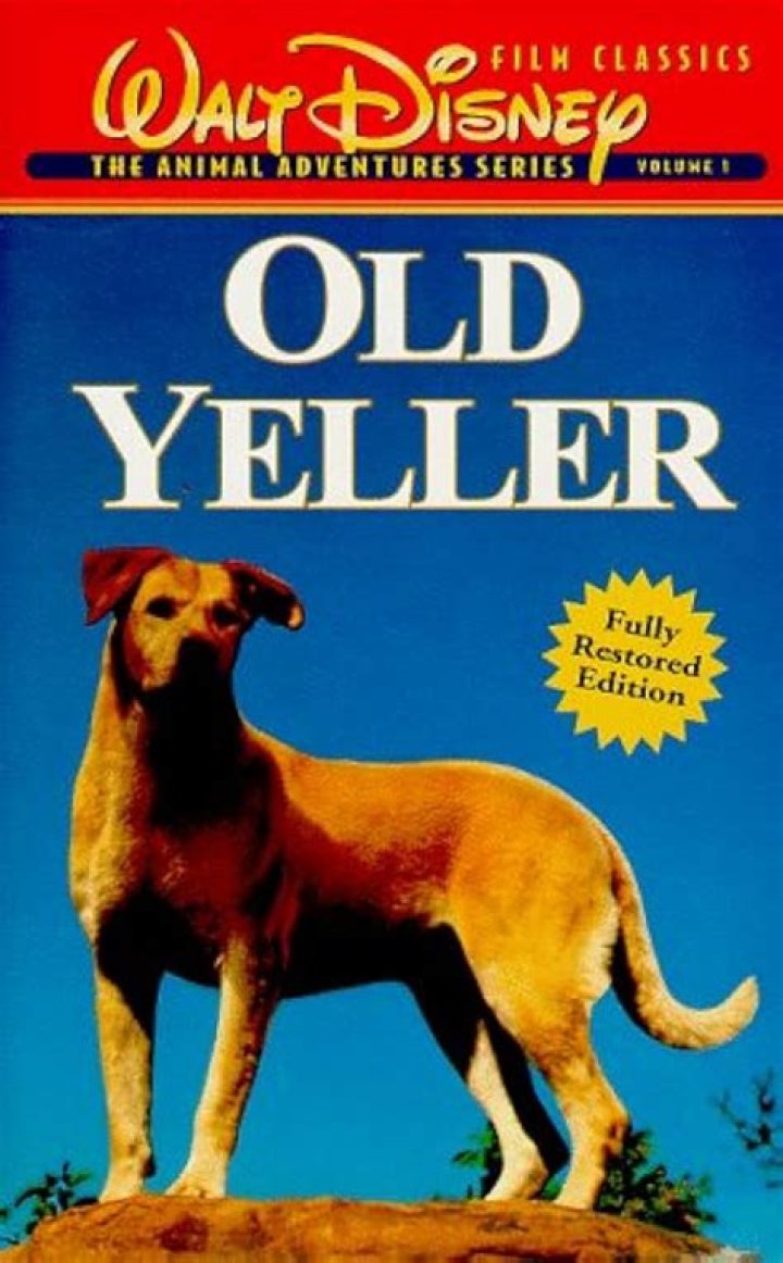 Old Yeller Questions PDF: Answering Key Scenarios & Answers