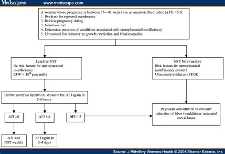Oligohydramnios Management Guidelines PDF: Essential Clinical Protocols