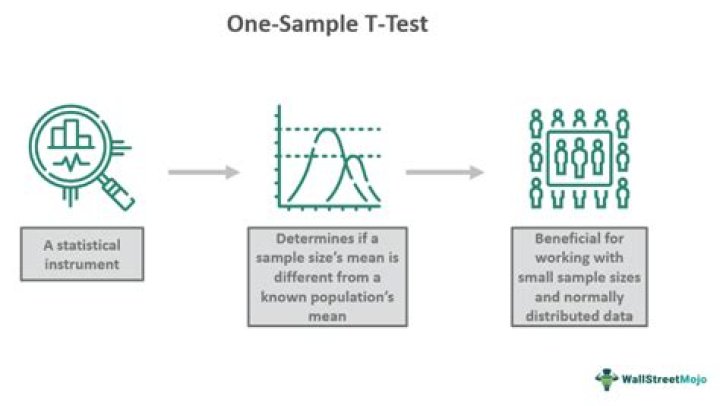 One Sample T-Test Example PDF: Step-by-Step Analysis