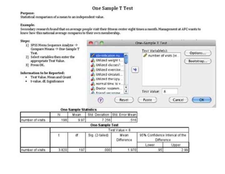 One Sample T-Test PDF: Step-by-Step Guide & Downloadable Template