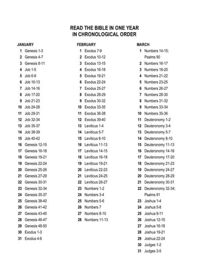 One Year Bible Chronological Reading Plan PDF for Daily Study