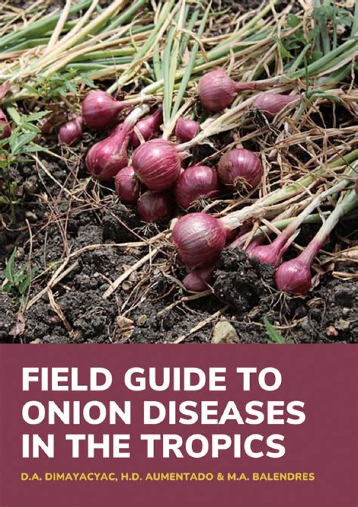 Onion Pest and Disease Management PDF: Expert Guide