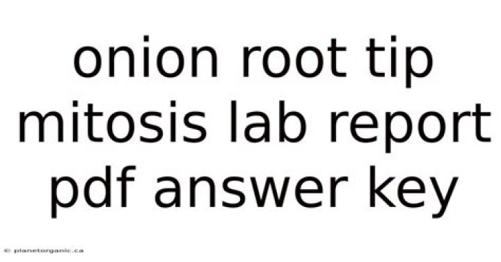 Onion Root Tip Mitosis Lab Report Answer Key PDF