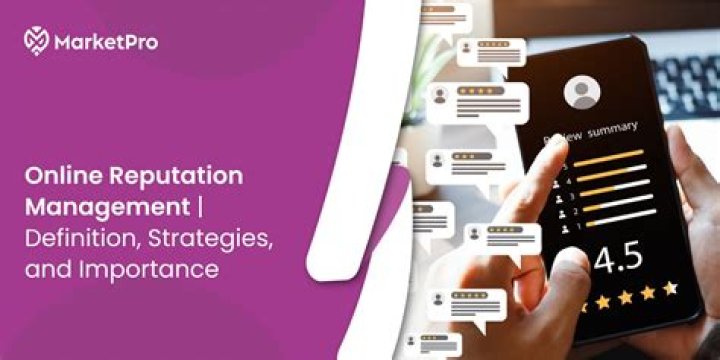 Online Reputation Management for Dummies: A Beginner’s PDF Guide