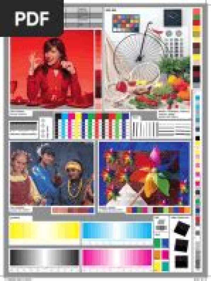 onyx quality test pdf: Expert Inspection Report