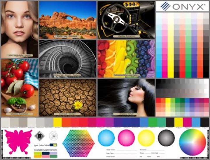 Onyx Test PDF: Expert Results & Full Download Guide