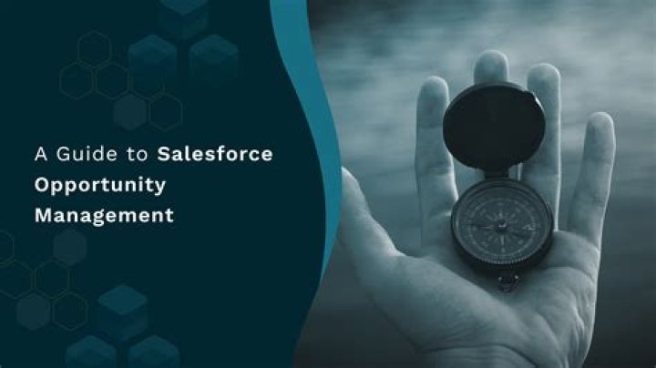 Master Opportunity Management in Salesforce with PDF Guide