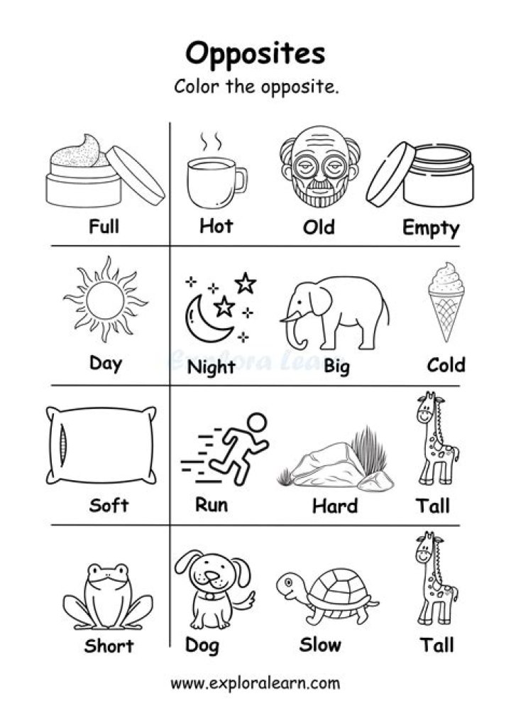 Free Opposites Worksheets for Kindergarten PDF Download