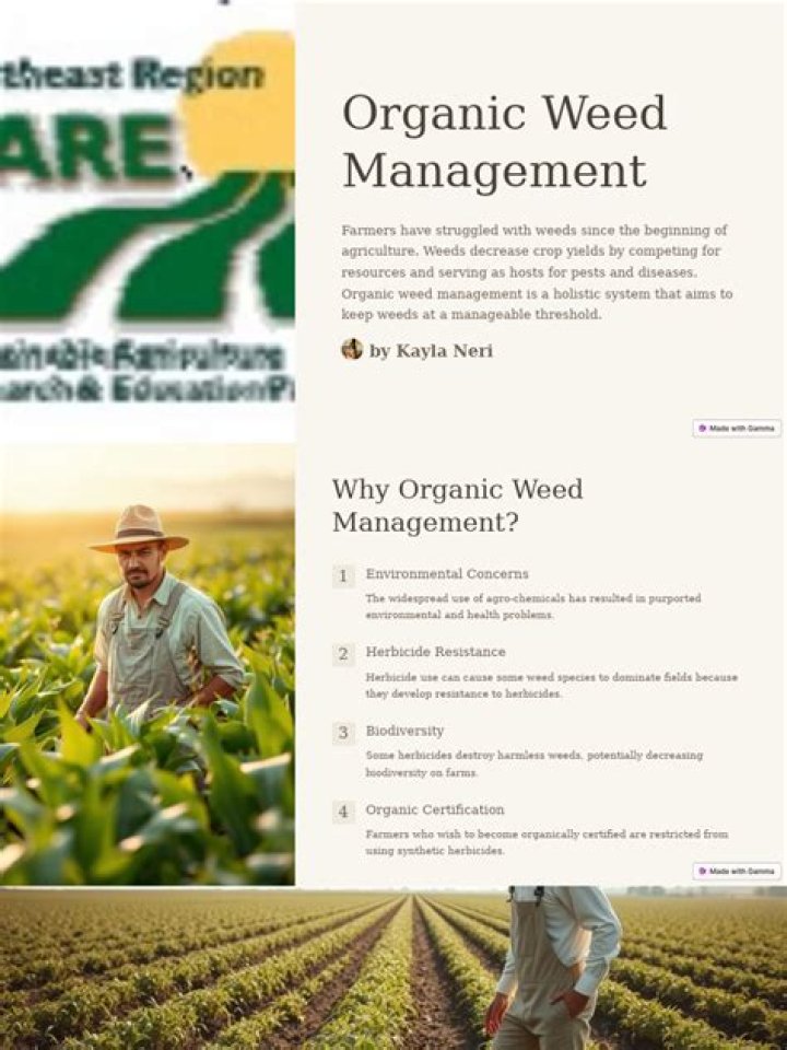 Master Organic Weed Management PDF: Expert Guide & Strategies