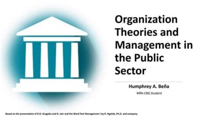 Organization Theory and Public Management: Essential PDF Guide