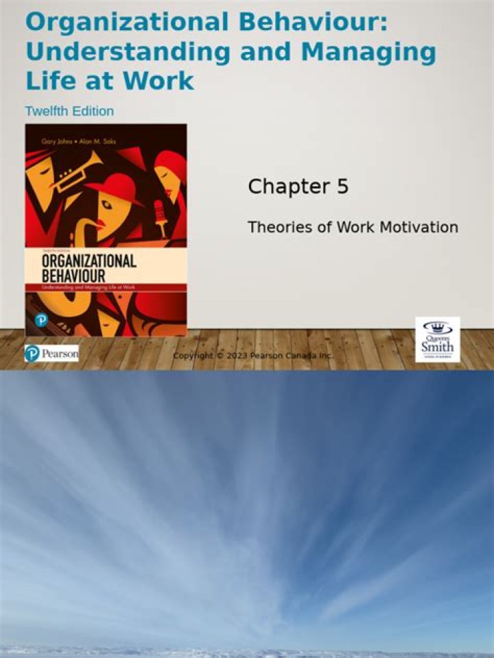 Organizational Behaviour Understanding & Managing Life at Work: A PDF Guide