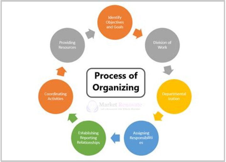 Mastering the Organizing Process in Management: A Comprehensive PDF Guide