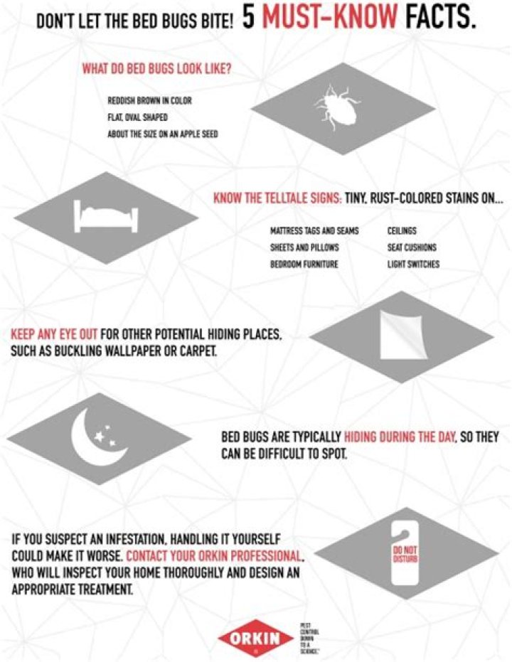 Complete Orkin Bed Bug Treatment Preparation Sheet PDF for Effective Pest Control