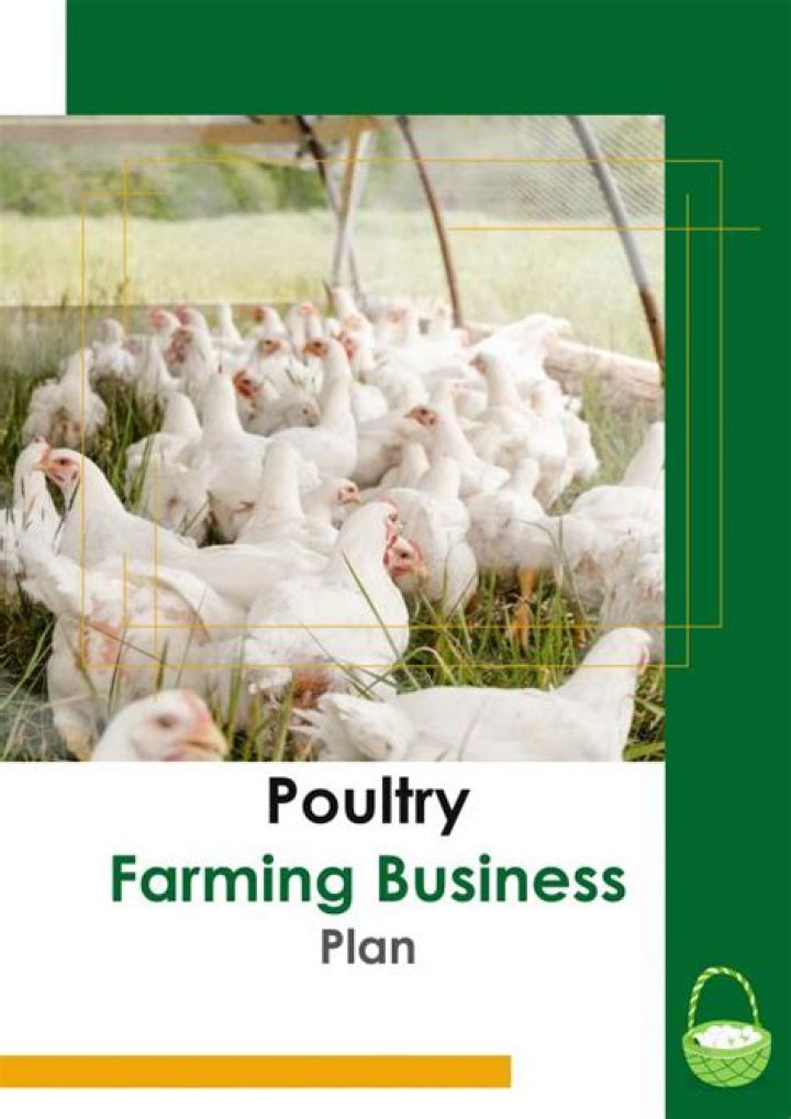 Ostrich Farming Business Plan PDF: Start Profitable Ostrich Farming Today