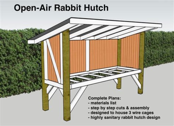 Outdoor Rabbit Hutch Plans PDF: Build Your Own Safe Outdoor Home