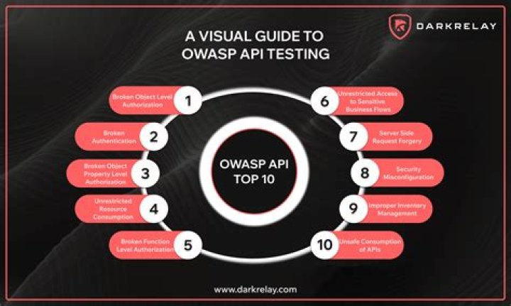 OWASP API Testing Guide PDF: Master Secure API Security